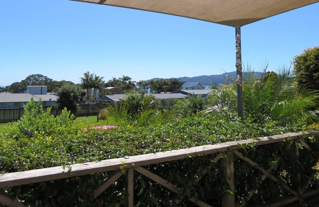 Winterless In Coopers Beach