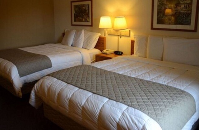 Wisconsin on Budget! 3 Affordable Units, Pet-friendly, Free Parking & Breakfast!