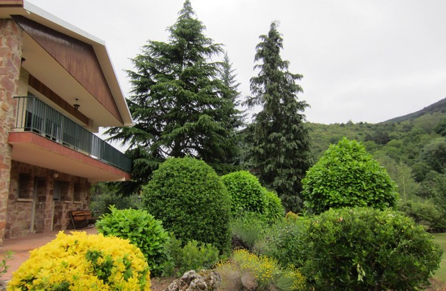 WONDERFUL PROPERTY IN FULL NATURE
