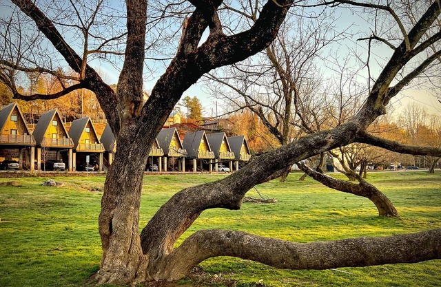Wrong Way River Lodge & Cabins