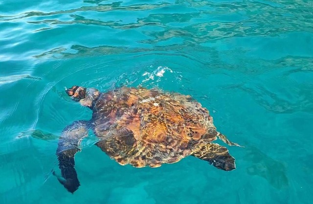 "Your oasis of comfort in the heart of Galapagos."