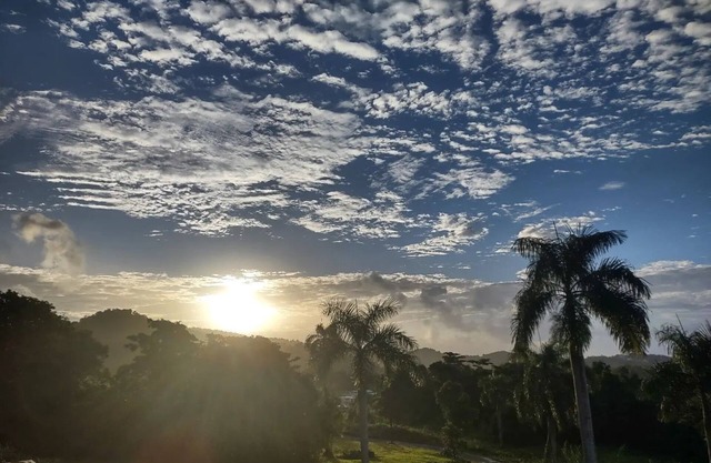 Your sustainable experience in the skirt of El Yunque!
