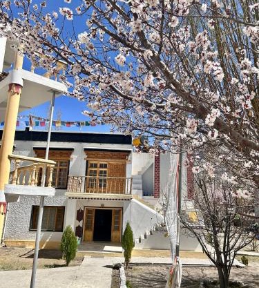 Zambala guest house