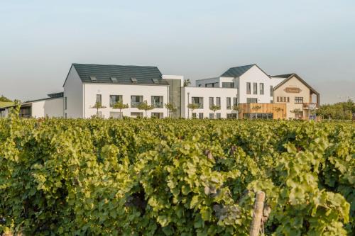 Zeit bei Sauerweins