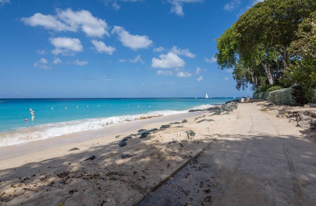 Thespina The Beach 