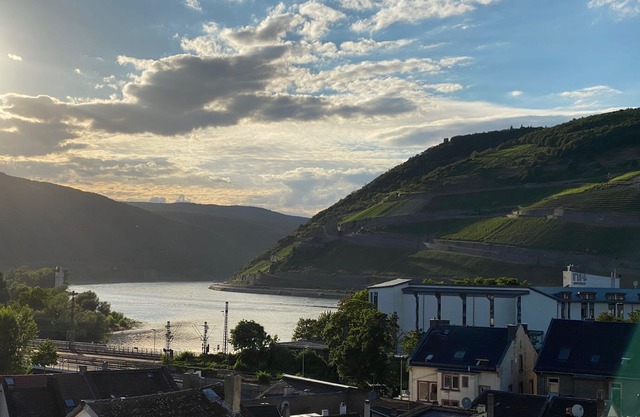 Zentraler Wohnkomfort mit Rheinpanorama