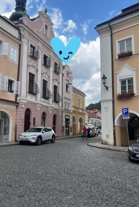 ZMRZLINOVÝ DOMEČEK (Ice cream housei)