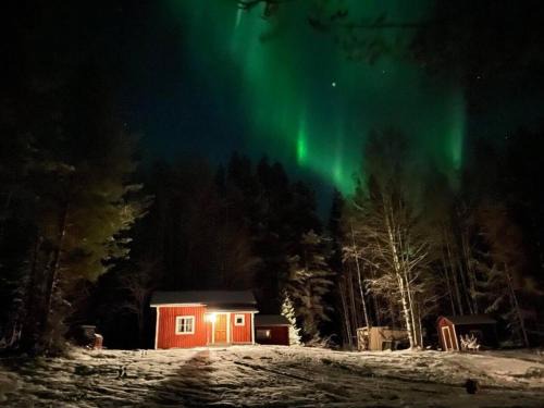 Niemisel House | Åviken Cabin