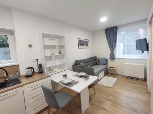 Nove Mesto nad Metuji Apartment | Útulný malý byt
