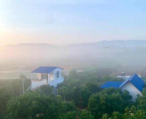 Don Duong House | Điểm du lịch canh nông Avocado Farm