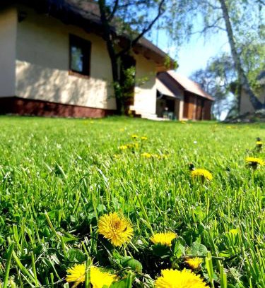 Viszak Apartment | Őrségi Lak-Tanya