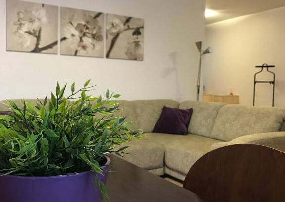 Druskininkai Apartment | Šaulys1