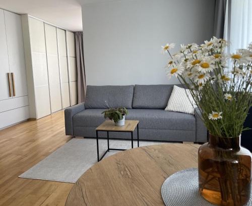 Siauliai City Center Apartment | Šiaulių centre modernus butas 1-4 žmonėms