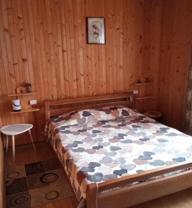 Yaremche Apartment | Карпатські ночі Чан на території