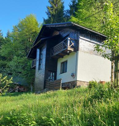 Podobovets Ski Chalet | Під Боржавою