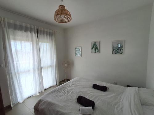 Lehavot HaBashan Apartment | ליד המעיין