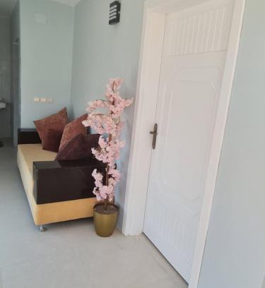 Al Bahah Apartment | شقة بحوش خاص 2