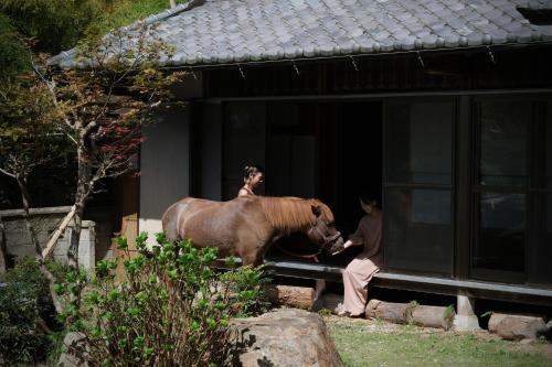 Sakurai House | 宿と馬 miru house