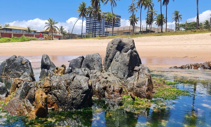 Stella Maris Apartment | 1 Bedroom Apartment with Sea View - Salvador - Work and Leisure at the same time