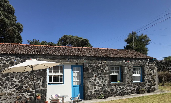 Madalena Apartment | 1 Bedroom Flat in spacious garden