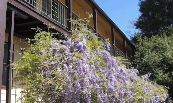 Mariposa Apartment | #10 1938 Historic Downtown Apt - King Bed- Kitchennn