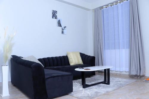 Meru Apartment | 1BR Apartment, Canopy apartments Meru near KeMU university Main Campus