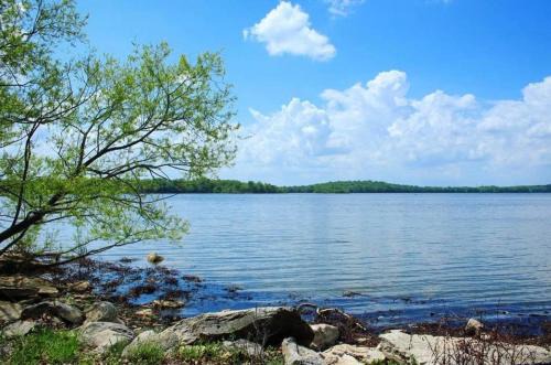 La Vergne Villa | 1Min to Percy Priest Lake 2 Masters Quiet Family Home