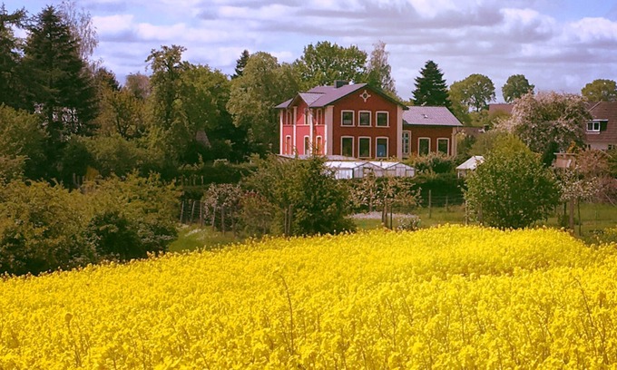 Quarnbek Apartment | 2.5 room apartment in Kiel and near the canal in the beautiful villa estate