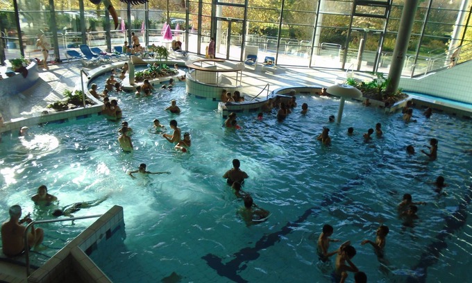 La Ferriere-en-Parthenay House | 2 gites, can sleep 12 people meet with your family or friends in the countryside