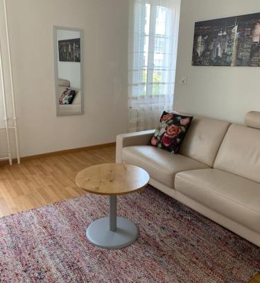 Winterthur Apartment | 2 Zimmer Appartement mit eigenem Bad und Küche