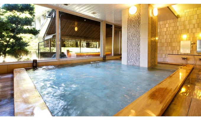 Unazuki Onsen Hotel | 20 m² Hotel ∙ 1 bedroom ∙ 2 guests