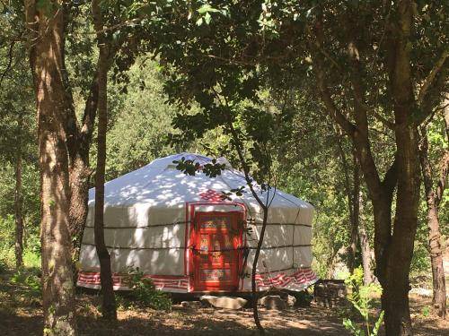 Termes Other | 20 m² Tent ∙ 1 bedroom ∙ 3 guests
