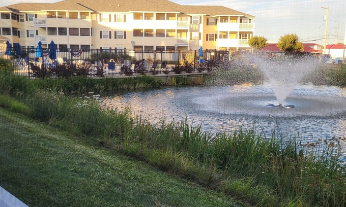 Rehoboth Beach Condo | 2103 Palms, 2-bedroom condo, Great September dates still available