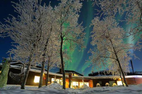 Kiruna Cabin | 25 m² Lodge ∙ 2 guests
