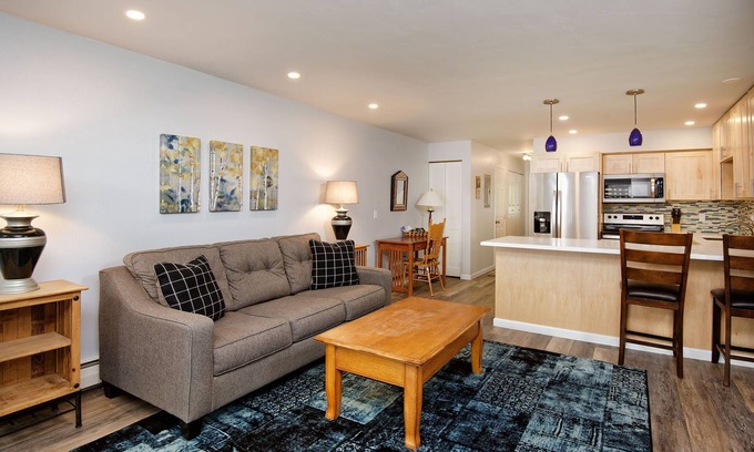 Aspen Condo | 2E/Cozy Downtown Aspen 1-Bedroom Condo Near Gondola