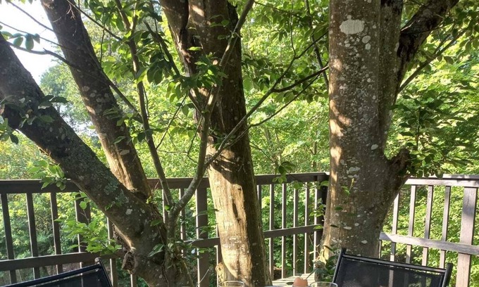 Carcares-Sainte-Croix House | 3-bedroom cottage (8 people) in the Landes overlooking a waterfall and stream
