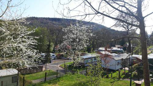 Echternach Ski Chalet | 35 m² Chalet ∙ 3 bedrooms ∙ 6 guests