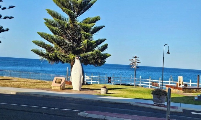 Penguin House | 4 bedroom house less than 3 mins drive to the ocean