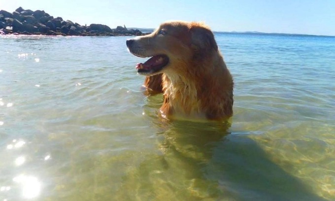 Salamander Bay House | 4 Gilchrist Rd - pet friendly, air con, Wi-Fi