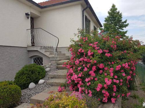 Ostwald Apartment | 45 m² Apartment ∙ 1 bedroom ∙ 4 guests