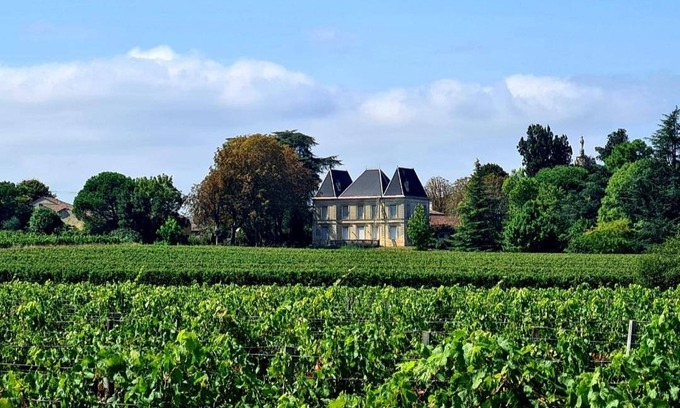 Bayon-sur-Gironde House | 45 m² House ∙ 2 guests