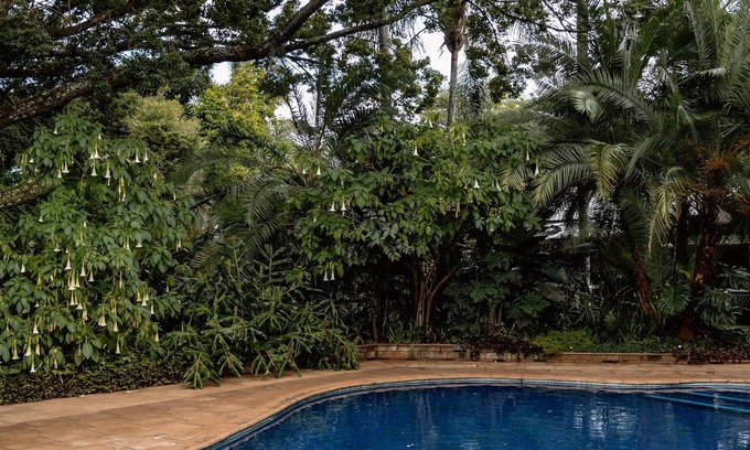 Harare Apartment | 5 * Sandalwood Lodge is situated in the peaceful up-market suburb of Mount Pleasant - 2018