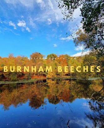 Farnham Common Apartment | 61 m² Apartment ∙ 2 bedrooms ∙ 6 guests