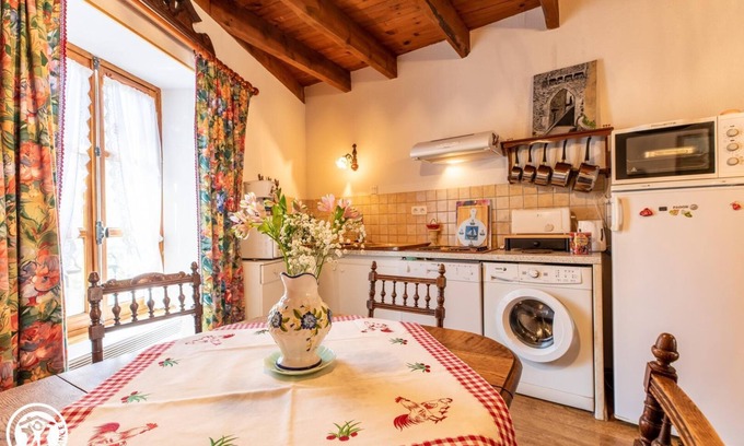 Saurier House | 63g100796 - Saurier - Gîte