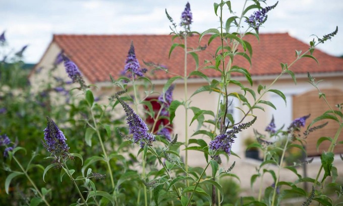 Fossemagne House | 80 m² Gîte ∙ 2 bedrooms ∙ 4 guests