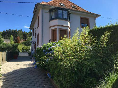Barembach Apartment | 87 m² Apartment ∙ 2 bedrooms ∙ 4 guests