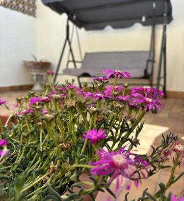 Roseto degli Abruzzi House | A 2 passi dal blu