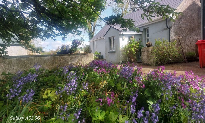 Mayour Villa | A beautiful house in the Center of Ireland