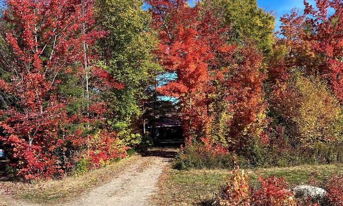 Algoma District Cabin | A beautiful setting for a quiet retreat