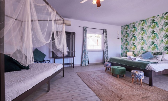 Santa Comba Dao House | A Casa Branca - Caraibas